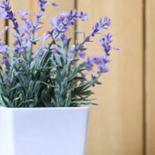 1 pezzo - Simulazione vaso di lavanda, decorazione domestica, decorazione desktop per ufficio, realistico, plastica, regali di inaugurazione della casa, pianta artificiale