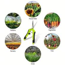 2 pezzi Forbici Potafrutti in acciaio inossidabile, cesoie per rami di fiori, attrezzo manuale per potature, per giardinaggio e cura del prato, articoli per il giardino