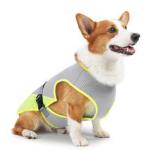 Gilet de rafraîchissement pour chien pour l'été, chemises légères et respirantes pour chien, chemises sans manches de protection solaire pour chien, chiots, vêtements pour animaux de compagnie