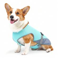 Gilet de rafraîchissement pour chien pour l'été, chemises légères et respirantes pour chien, chemises sans manches de protection solaire pour chien, chiots, vêtements pour animaux de compagnie