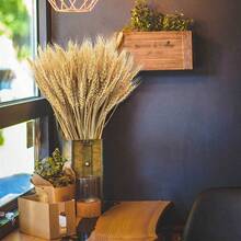 100/50/20/10/5/1pcs金色麦穗干花花束开业花篮大麦装饰拍照道具稻穗仿真造景金色麦穗干花花束开业花篮大麦装饰拍照 - 彩色 - 查看 2