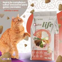 Ração Quatree Life Gatos Castrados Salmão e Arroz - 10,1Kg - Vermelho e Branco - Visão 3