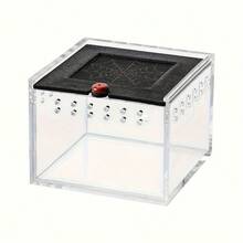 Acrylic Reptile Breeding Box, Terrarium For Spider, Scorpion, Beetle, Insect Feeding Container - Multicolor - View 5