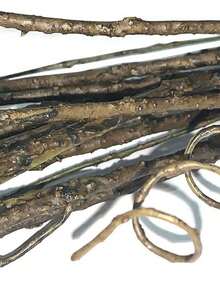 1 件/3 件/5 件 - 逼真卷曲柳树枝装饰性干燥人造树枝,29.53 英寸假可弯曲木棍复古藤蔓/茎 DIY 绿植植物工艺花瓶家居花园酒店农舍装饰情人节家居装饰,春天树枝,人造弯曲配件,春天树枝配件 - 黑色 - 查看 8