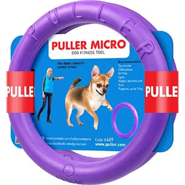 Dog Flying Disc
