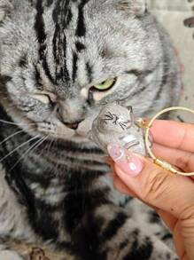 1pc Cute Transparent Pet Cat Hair Collector Box Key Chain, Decorative Bag Hanger, Cat Hair Ball Storage Accessory, Suitable For Bags, Keys Decorations, Gifts For Friends And Family