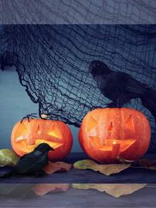 5 件万圣节黑乌鸦套装，复古风格，配有逼真的人造羽毛 - 万圣节派对装饰道具，栩栩如生的塑料乌鸦，适合季节性室内装饰，无需用电