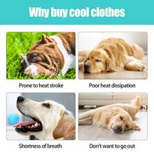 Gilet de rafraîchissement pour chien pour l'été, chemises légères et respirantes pour chien, chemises sans manches de protection solaire pour chien, chiots, vêtements pour animaux de compagnie
