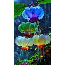 1 Pack Of 100 Seeds Four Seasons Blooming Lantern Flower Seeds For Indoor Courtyard Balcony