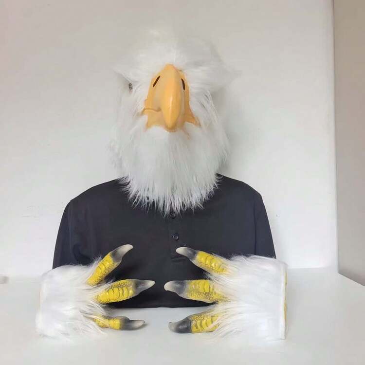 万圣节南瓜恐怖魔鬼面具、圣诞节小丑圣诞老人女巫面具、动物狼鹰手套袜子、猫蛇鲨鱼猪狗恐龙兔子马面具、派对角色扮演服装道具 - 彩色 - 查看 7