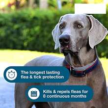 Sere Large Dog Flea & Tick Collar Over 18 Lbs, 8-Month Protection, Vet-Recommended Treatment & Prevention, Waterproof & Adjustable  Animal    PU Leather    Flea & Tick Collar - 1 包 - 查看 6