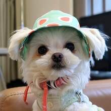 1pc Pet Bucket Hat - Ear Exposed Design To Prevent Falling Off, Adjustable, Pet Sun Hat, Avocado Hat, Bucket Hat, Dog Cap, Cat Cap, Pet Clothing Accessory, Pet Supplies