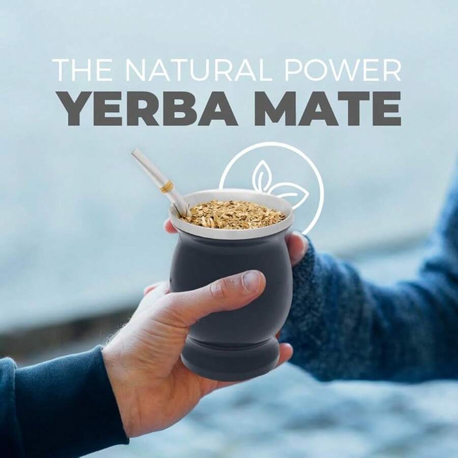 HF 8 Oz Stainless Steel Double-Wall Mate Cup And Bombilla Set - Yerba Mate Set Includes One Yerba Mate Cup, 2 Bombillas Mate (Straw) & Brush - Easy To Clean (Wood)