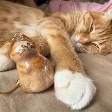 透明猫毛胶囊钥匙扣，可收藏的猫毛/狗毛收纳吊坠，小盒 - 彩色 - 查看 3