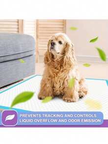 100 piezas Almohadillas para pañales de mascotas, Pañales desechables para perros, Alfombrillas de arena para gatos engrosadas, Adecuadas para el entrenamiento de mascotas, Evitan que las mascotas orinen en cualquier lugar, Mantienen la higiene del hogar, El mejor regalo diario para gatos y perros felices, También una opción ideal para regalos de cumpleaños y suministros para mascotas.