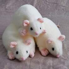 可爱仿真老鼠毛绒玩具逼真老鼠填充动物模型玩偶礼物儿童收藏生日装饰 - 多色 - 查看 4