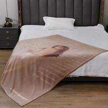 ZLIENSZUS Ayliva Flannel Blanket - Ultra Soft All Season Lightweight Throw, Modern City Printed, Mixed Color, Suitable For Sofa, Bed, Travel And Picnic - Perfect Gift For Home And Outdoor Use