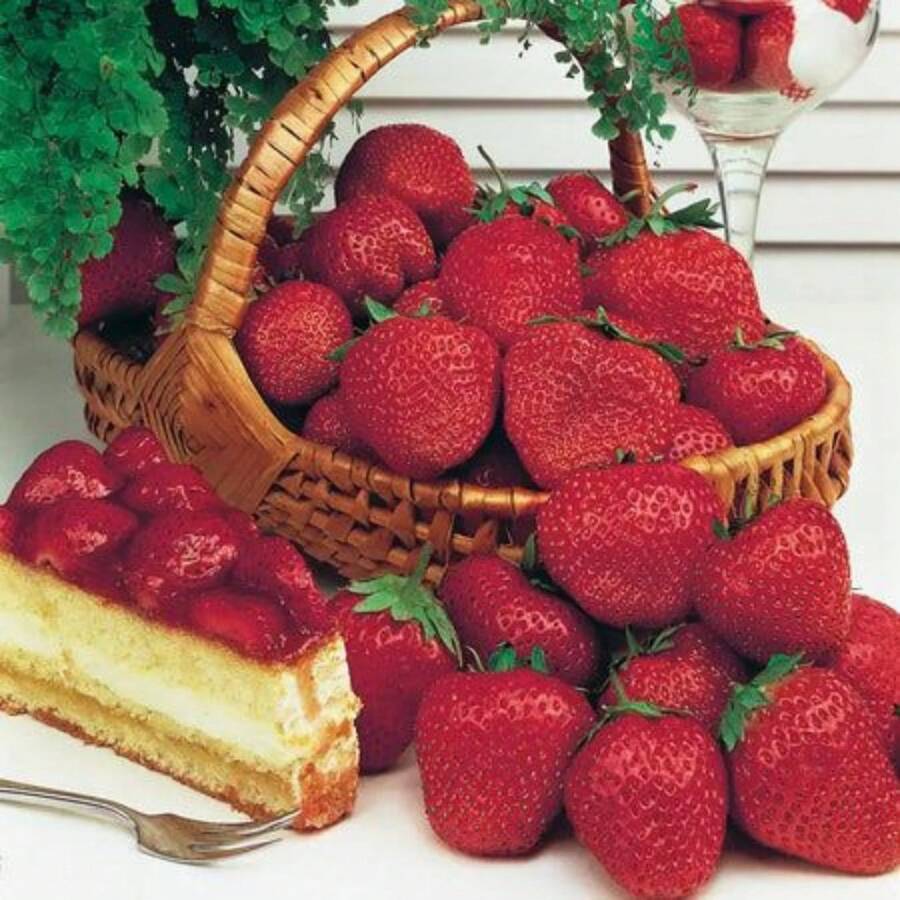 Bonsai Seeds 200 Pieces Strawberry Seeds Garden Seeds For Growing Perennial Flowers Houseplant Plants Planting Home Tree