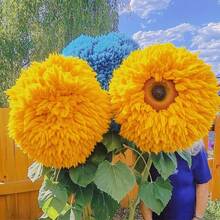 500 Semi Di Girasole Gigante + Omaggio 200 Semi Di Ipomea Fucsia/Blu – Fai L'Orto