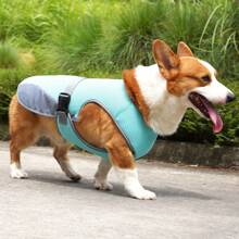 Gilet de rafraîchissement pour chien pour l'été, chemises légères et respirantes pour chien, chemises sans manches de protection solaire pour chien, chiots, vêtements pour animaux de compagnie