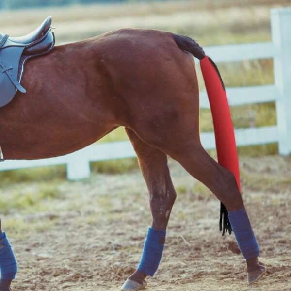Horse Tail Cover & Face Cover, Mosquito & Dirt Protection, Fringed Horse Tail Bag