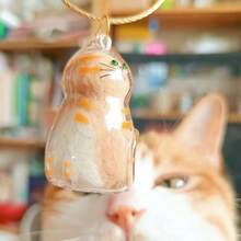 透明猫毛胶囊钥匙扣，可收藏的猫毛/狗毛收纳吊坠，小盒 - 彩色 - 查看 10