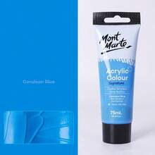 75ML/2.53oz Montmartre 丙烯颜料 手绘纺织绘画颜料 适合艺术初学者