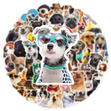 50 pièces Autocollants décoratifs de la série de chiens réalistes pour étui de téléphone, graffiti, ordinateur portable, casque, planche à roulettes, décoration DIY, autocollant créatif