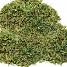 1 pacote de musgo artificial falso, simulação faça você mesmo de musgo, grama, micro layout paisagístico, planta verde, gramado, vaso de plantas, decoração de janela, paisagismo - Verde - Ver 5