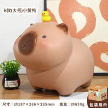 Money Banks For Teenager