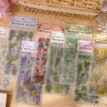 [6pcs/Set] Transparent PET Stickers, DIY Photo Album/Planner/Stationery Decor Stickers, Realistic Plant & Flower, Retro & Ins Style, Multiple Designs Available School Supplies,Back To School