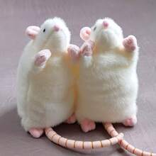 可爱仿真老鼠毛绒玩具逼真老鼠填充动物模型玩偶礼物儿童收藏生日装饰 - 多色 - 查看 2