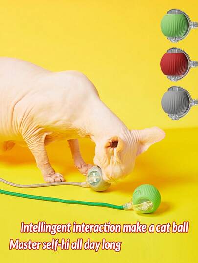 PETSIN 1 件 USB 可充电互动猫玩具球自动电动滚球玩具，适用于狗/小猫生日礼物，宠物咀嚼智能自动逗猫器带尾巴，纯色智能拴猫追球，互动猫玩具球，室内猫玩具