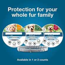 Sere Large Dog Flea & Tick Collar Over 18 Lbs, 8-Month Protection, Vet-Recommended Treatment & Prevention, Waterproof & Adjustable  Animal    PU Leather    Flea & Tick Collar - 1 包 - 查看 9