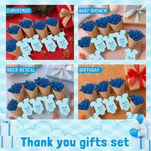 Set de 1/6 flores secas en miniatura, adecuado para bodas de estilo bohemio o como centro de mesa, incluye juncos secos en miniatura y artesanías florales, caja de regalo o decoración de jarrón para damas de honor, Día de San Valentín, regalo