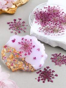 10 fleurs/boîte Remplisseurs de fleurs séchées - Fournitures de moule en résine époxy colorée pour la fabrication de bijoux DIY, les projets de décoration artisanale, les fournitures d'artisanat | Décoration thème été