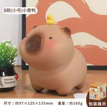 Money Banks For Teenager