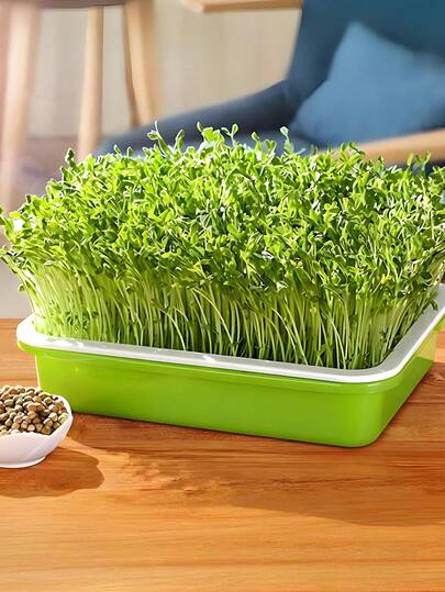 4pcs Green Seed Sprouter Trays,Seed Sprouter Tray With Drain Holes, Soil-Free Cultivation Germination Tray For Indoors Or Outdoors Sprouting Seeds, Grow Grass, Beans