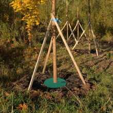 6 件套除草屏障，带无纺布树木覆盖物环、保护垫、植物覆盖物、防草、园艺织物控制，15 厘米 - 82 厘米