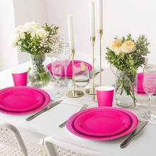 100Pcs Hot Pink Pa Rty Supplies Set Disposable Party Dinnerware Sets 50Pcs Paper Plates 25Pcs Napkin 25Pcs Cups For Wedding Birthday Party Supplies Table Decorations - 玫紅色 - 查看 9