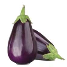 Black Beauty EGGPLANT Seeds Are Openly Pollinated.