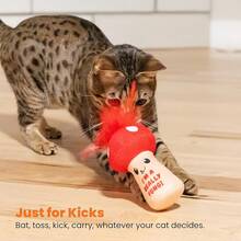 Catstages Crunchy Pickle Kicker Toy With Catnip And Dental Mesh, Pickle Shape, Plush And Crinkle Toy Kicking, Tossing, And Teeth Cleaning, Green - Nấm Kicker - Xem 6