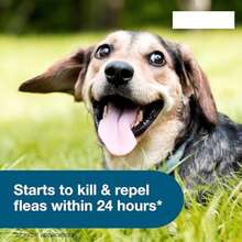 Sest Small Dog Vet-Recommended Flea & Tick Treatment & Prevention Collar For Dogs Under 18 Lbs. | 8 Months Protection  Cartoon    Fabric    Vet-Recommended Flea & Tick Treatment - 2 包 - 查看 5