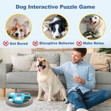 Slow Feeding Bowls For Pets, Dog Bowls, Cat Bowls, Educational Toys For Pets, Dog Plates