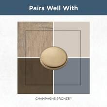 Parow (5-Pack) Gold Cabinet Knobs Champagne Bronze Hardware For Kitchen, Drawer Pulls, Dressers, Closet Door 1-1/8' P29542Z-CZ-B1 - Bronze - View 8