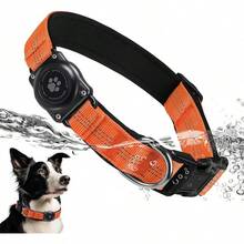 Pet Basic Dog Collars - Turuncu - Görünüm 12
