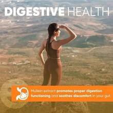 Mullein Leaf Extract Drops 60ml Lung Cleanse Respiratory Herbal Drop Health Care,Respiratory Health Support – Helps Clear Mucus And Soothes Irritated Airways For Easier Breathing.