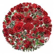 62Pcs Rose Stickers Pack, Aesthetic Stickers For Suitcase, Journal, Scrapbook, Water Bottle, Laptop, Computer, Skateboard, Notebook,PET Transparent Sticker