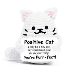 1件手工编织毛绒玩偶挂饰，充满正能量的鼓励话语，也可作为小礼物送给亲朋好友。可爱的编织玩具非常适合摆放在家中的客厅和书桌上，作为生日礼物或房间装饰的装饰品。可爱的玩偶礼物设计和鼓励的话语温暖又甜蜜！这些可爱的玩偶将永远是你的朋友，它们会让你感到轻松快乐！ - 彩色 - 查看 16