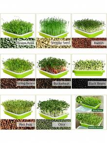 4 件绿色种子发芽托盘，带排水孔的种子发芽托盘，无土栽培发芽托盘，适用于室内或室外发芽种子、种植草、豆类 - 綠色 - 查看 5